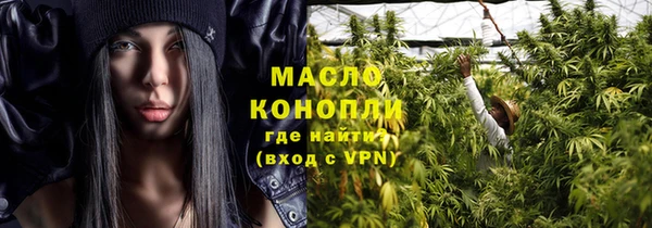 гашик Ладушкин