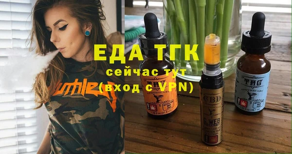 гашик Ладушкин