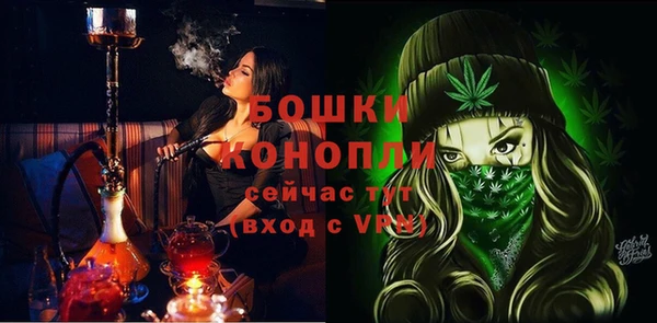гашик Ладушкин